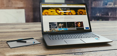 learn well online