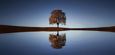 Skills@Cumbria Landing - Reflection